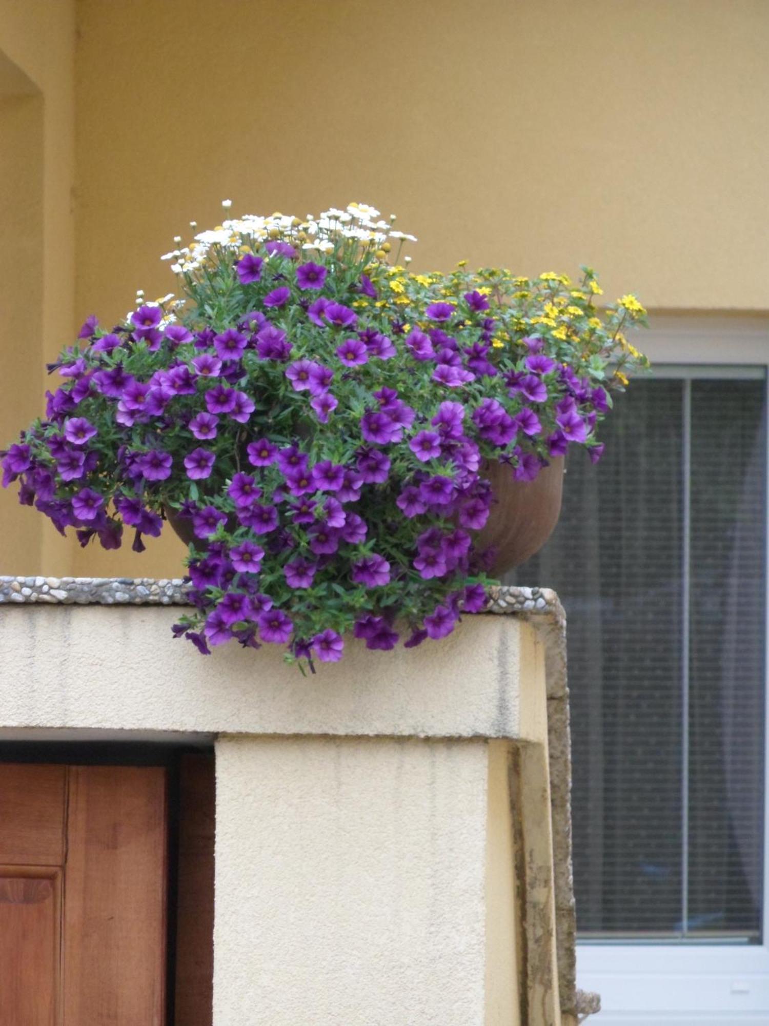 Apartmány Lea Liptovský Mikuláš Quarto foto